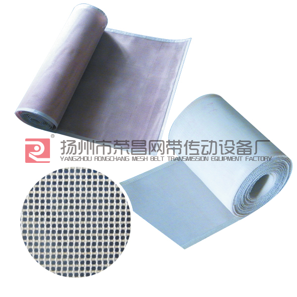 Nylon mesh belt